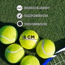 12 pack Tennis Balls