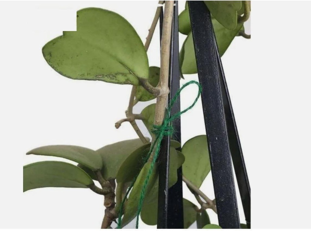 125m Garden Jute Twine Green Plant Support String