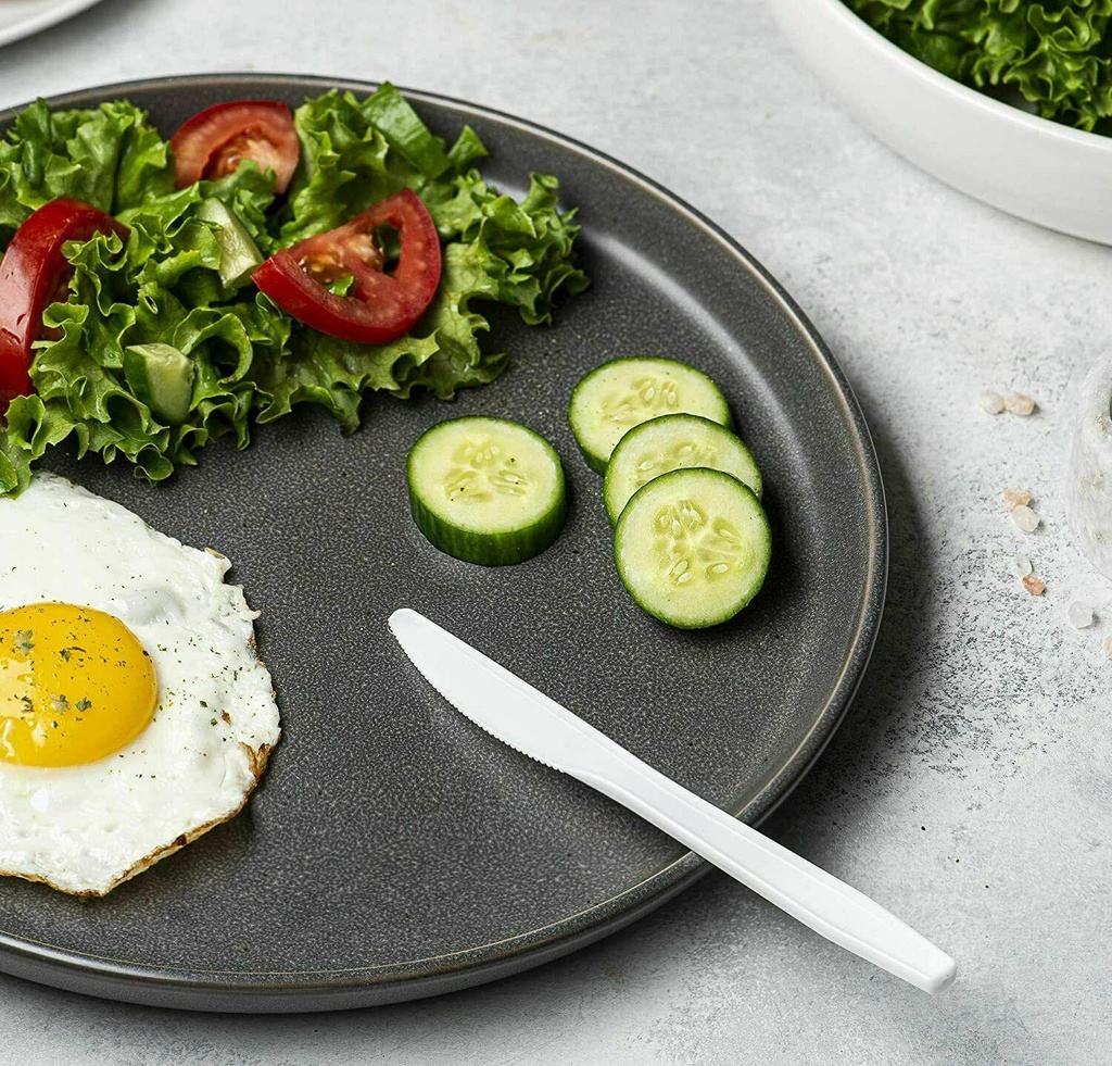 100pc Deluxe Plastic Knives