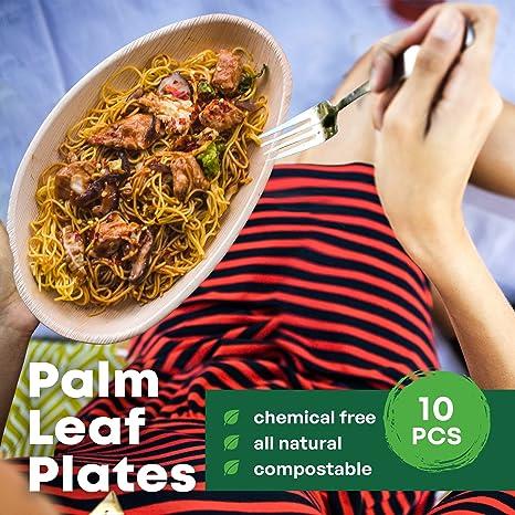 10'' Palm Leaf Plate Plates 10x6 Inch Oval - 10  pcs