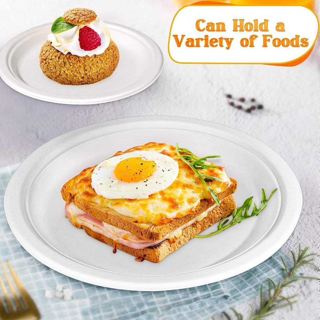 10'' Biodegradable bagasse  Plates