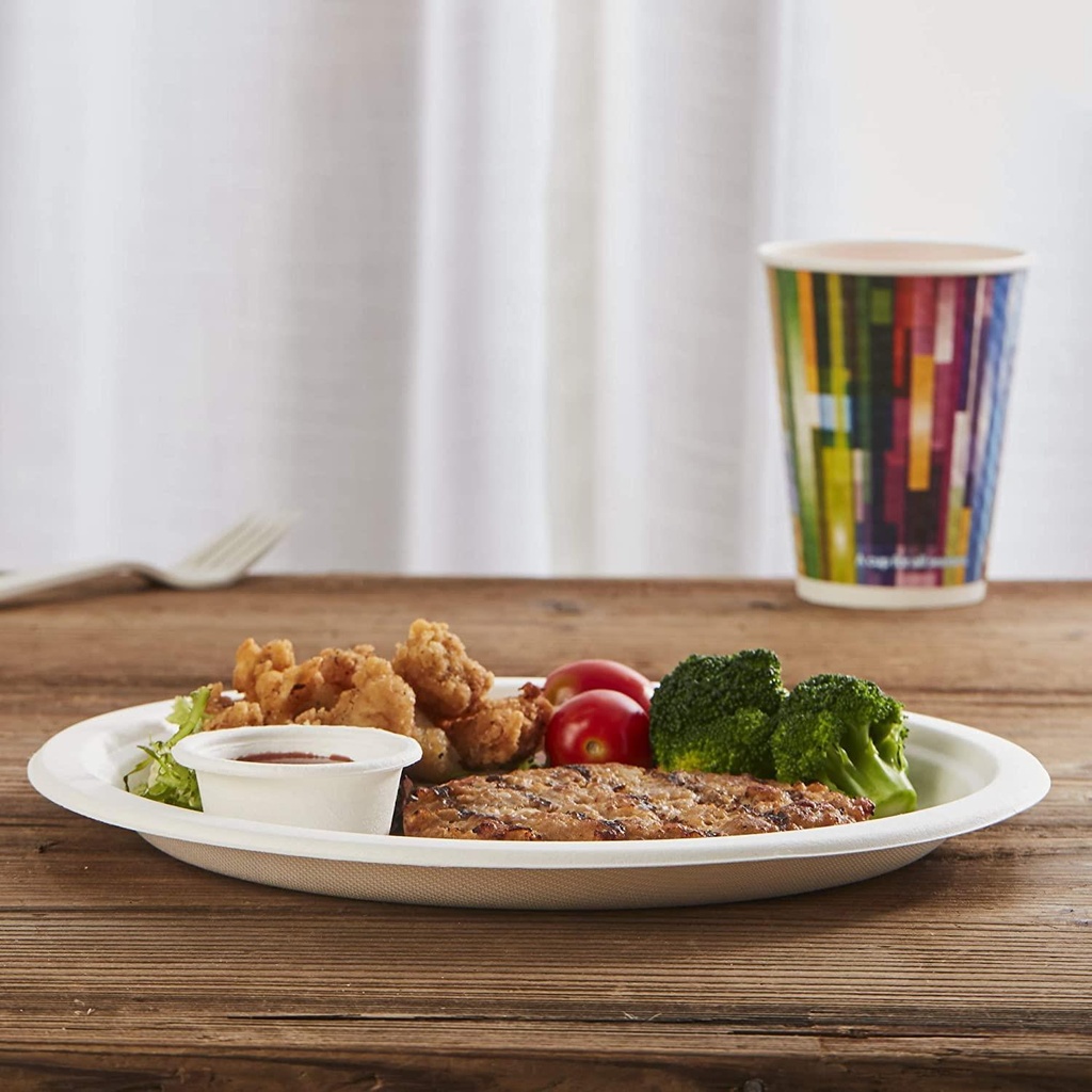 10'' Biodegradable bagasse  Plates