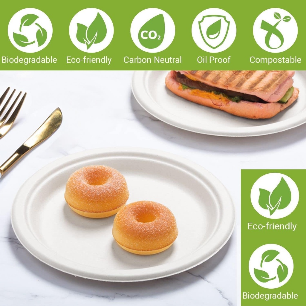 10'' Biodegradable bagasse  Plates