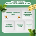 100 X BAGASSE 5 Compartment FOOD PLAT TRAY - 27 X 22CM
