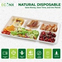 100 X BAGASSE 5 Compartment FOOD PLAT TRAY - 27 X 22CM