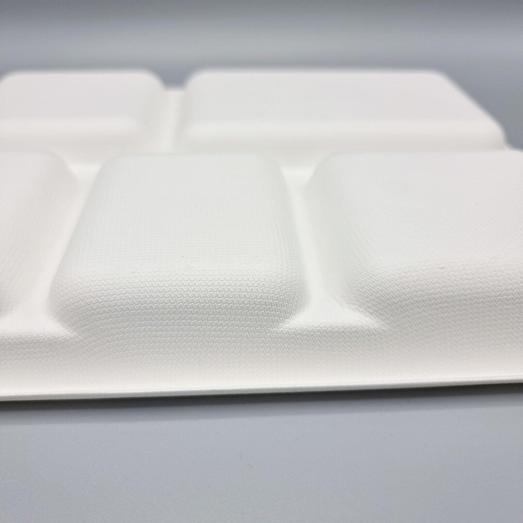 100 X BAGASSE 5 Compartment FOOD PLAT TRAY - 27 X 22CM