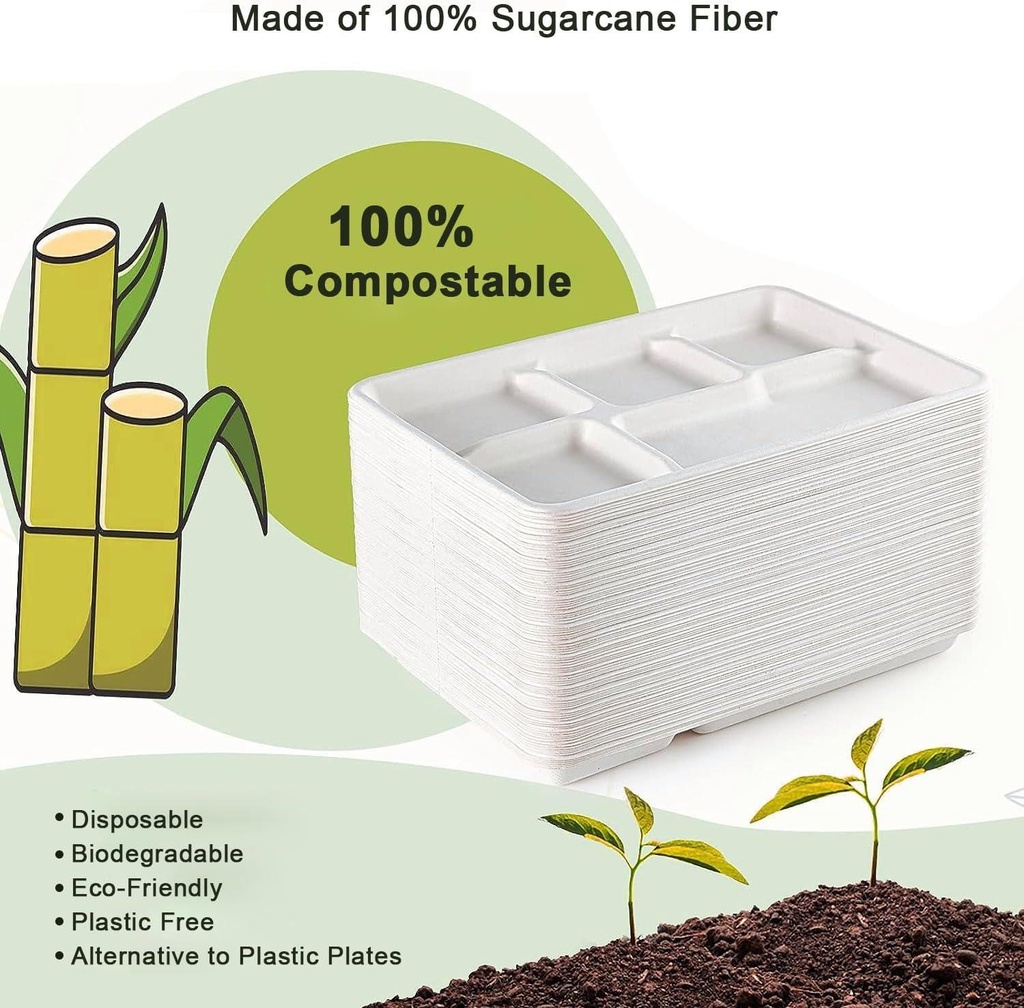 100 X BAGASSE 5 Compartment FOOD PLAT TRAY - 27 X 22CM