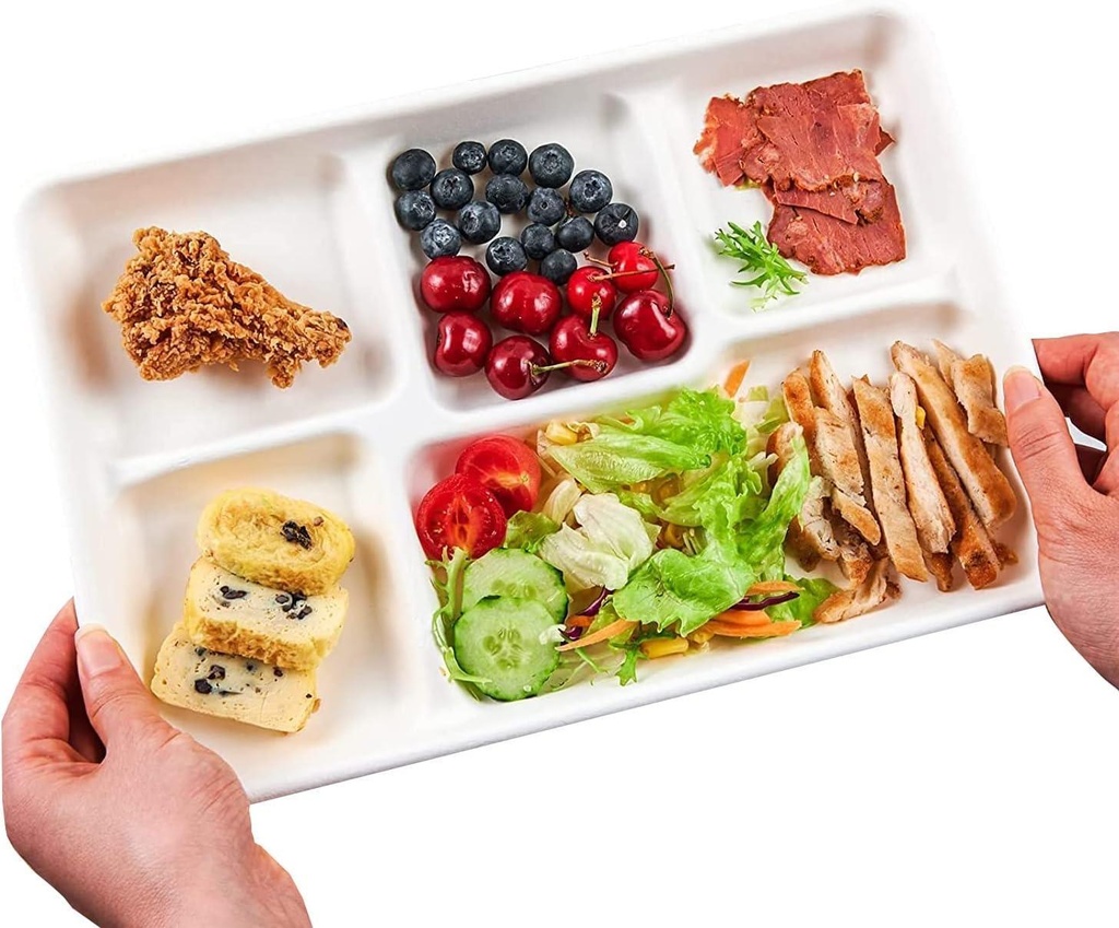 100 X BAGASSE 5 Compartment FOOD PLAT TRAY - 27 X 22CM