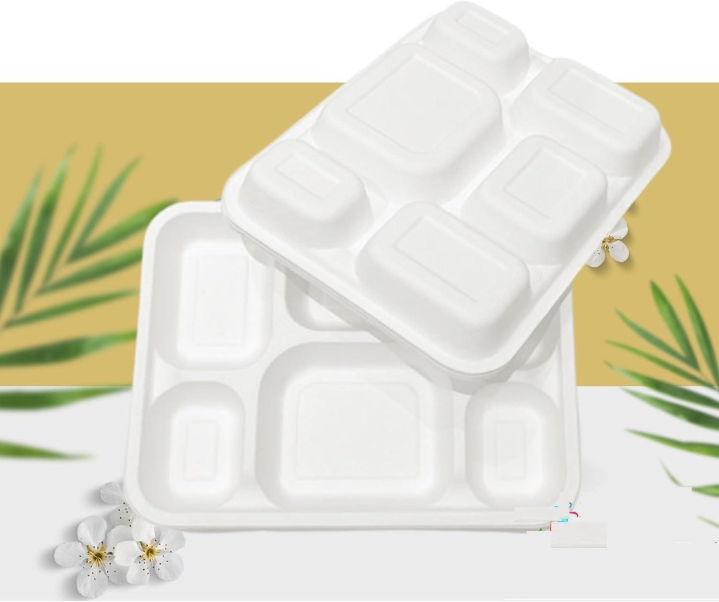 100 X Bagasse 6 Compartment Food Tray PLATE