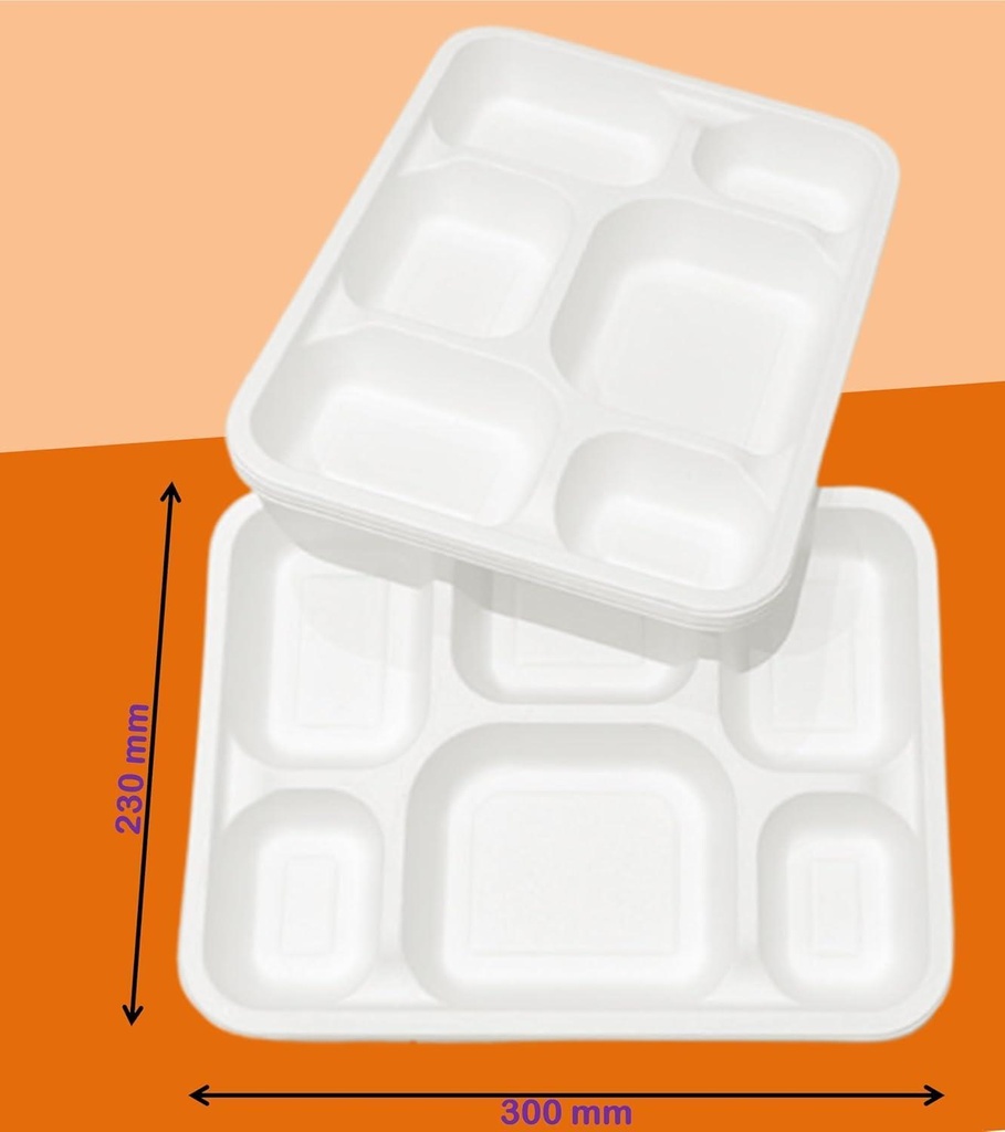 100 X Bagasse 6 Compartment Food Tray PLATE