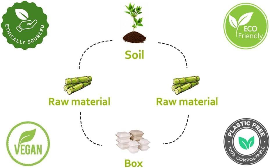 100 X Bagasse 6 Compartment Food Tray PLATE