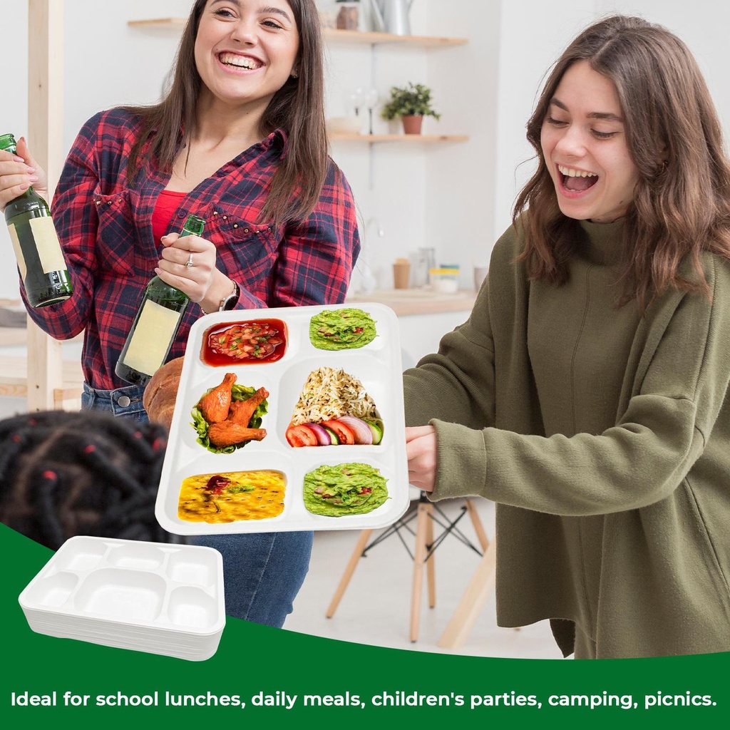 100 X Bagasse 6 Compartment Food Tray PLATE