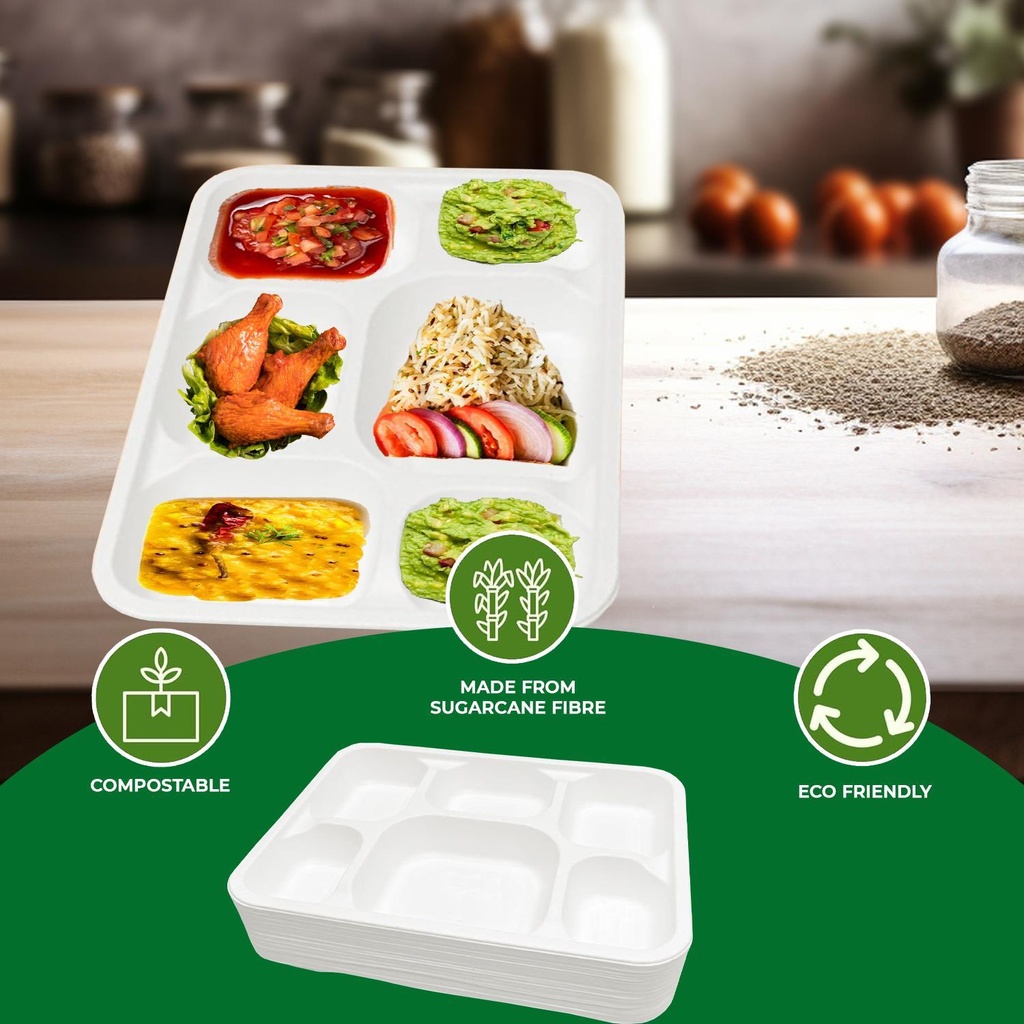 100 X Bagasse 6 Compartment Food Tray PLATE