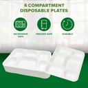100 X Bagasse 6 Compartment Food Tray PLATE