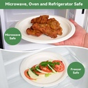 100 x 10" Plain Bagasse Round Disposable Plates