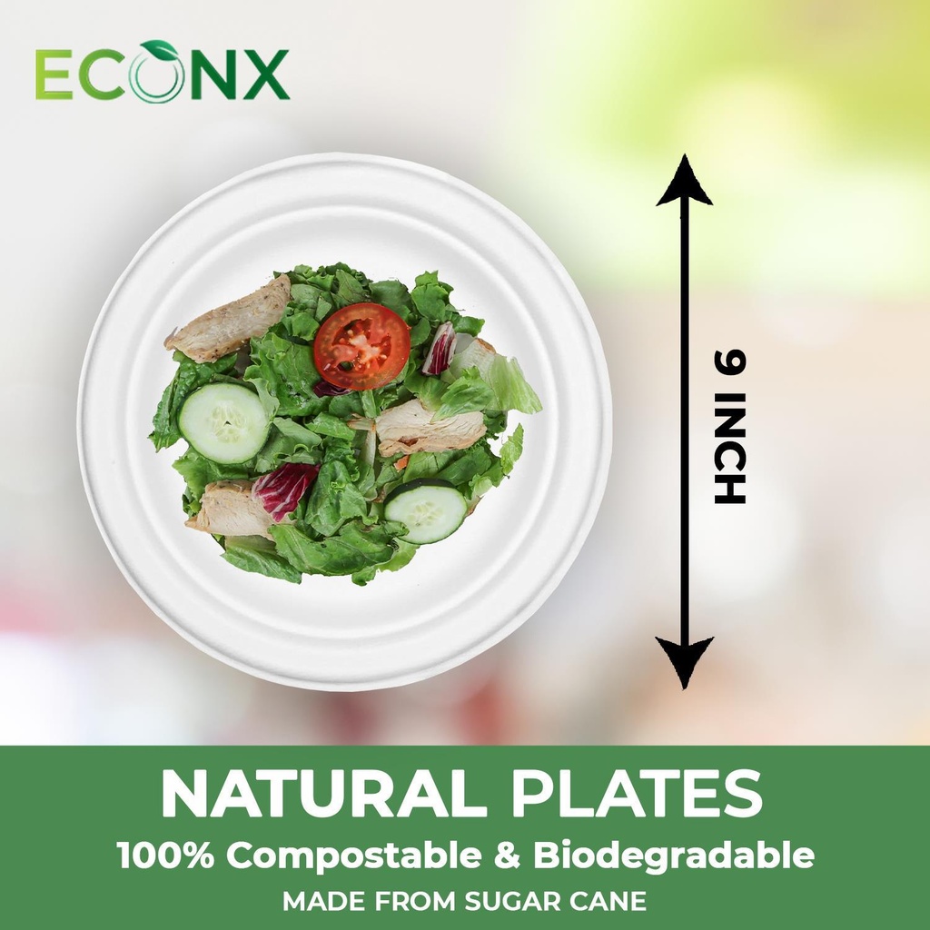 100 x 9" Plain Bagasse Round Disposable Plates
