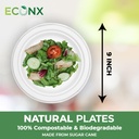 100 x 9" Plain Bagasse Round Disposable Plates