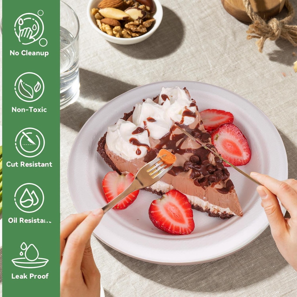 100 x 9" Plain Bagasse Round Disposable Plates