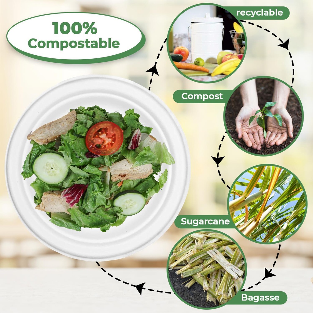 100 x 9" Plain Bagasse Round Disposable Plates
