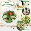 100 x 9" Plain Bagasse Round Disposable Plates