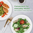 100 x 9" Plain Bagasse Round Disposable Plates