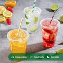 100 x473ML/16Oz with Clear Flat Lid for Smoothie Cup PET (98mm)