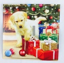 12 Puppy & Kitten Christmas Cards