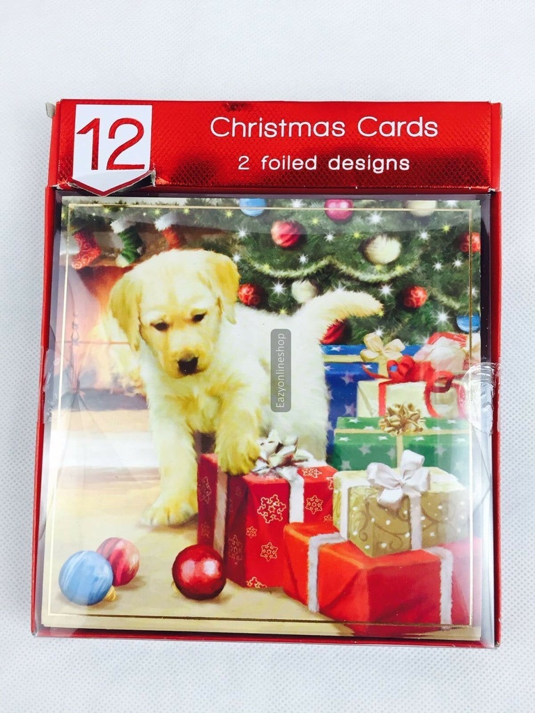 12 Puppy & Kitten Christmas Cards
