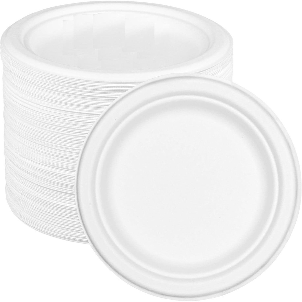 100 x 9" Plain Bagasse Round Disposable Plates