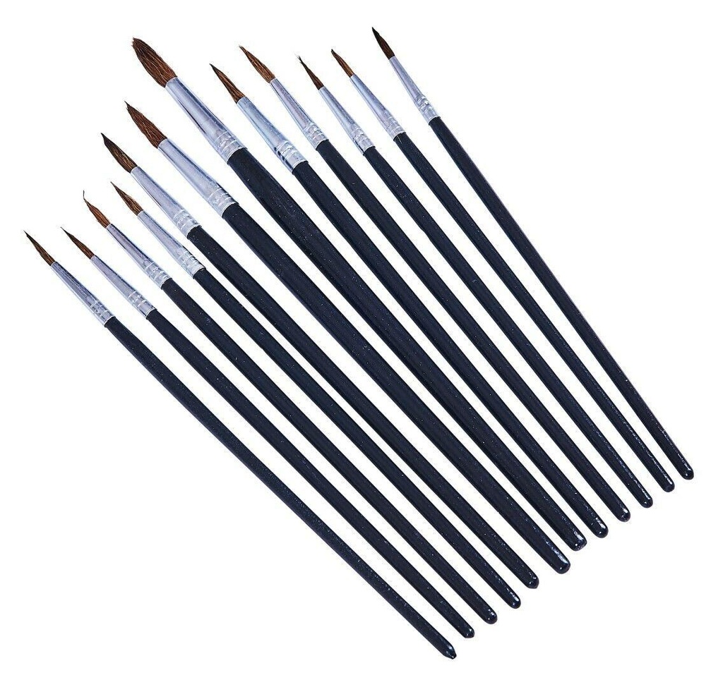 12pc Fine Pointed Tip Art Brush Set