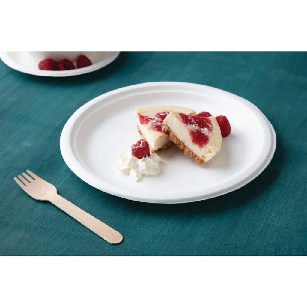 10'' Biodegradable bagasse  Plates